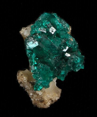 Chip Sized, Emerald-Green Dioptase Cluster - Kazakhstan #34980